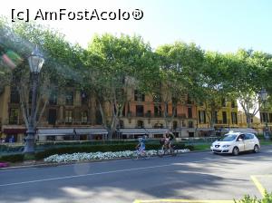 [P55] Palma de Mallorca » foto by Cris
 - 
<span class="allrVoted glyphicon glyphicon-heart hidden" id="av745342"></span>
<a class="m-l-10 hidden" id="sv745342" onclick="voting_Foto_DelVot(,745342,5104)" role="button">șterge vot <span class="glyphicon glyphicon-remove"></span></a>
<a id="v9745342" class=" c-red"  onclick="voting_Foto_SetVot(745342)" role="button"><span class="glyphicon glyphicon-heart-empty"></span> <b>LIKE</b> = Votează poza</a> <img class="hidden"  id="f745342W9" src="/imagini/loader.gif" border="0" /><span class="AjErrMes hidden" id="e745342ErM"></span>