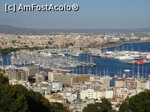 [P63] Palma de Mallorca » foto by Cris
 - 
<span class="allrVoted glyphicon glyphicon-heart hidden" id="av745360"></span>
<a class="m-l-10 hidden" id="sv745360" onclick="voting_Foto_DelVot(,745360,5104)" role="button">șterge vot <span class="glyphicon glyphicon-remove"></span></a>
<a id="v9745360" class=" c-red"  onclick="voting_Foto_SetVot(745360)" role="button"><span class="glyphicon glyphicon-heart-empty"></span> <b>LIKE</b> = Votează poza</a> <img class="hidden"  id="f745360W9" src="/imagini/loader.gif" border="0" /><span class="AjErrMes hidden" id="e745360ErM"></span>