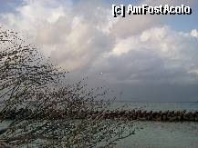 [P16]  -- <small>// FĂRĂ DESCRIERE</small> » foto by john_doe_gl
 - 
<span class="allrVoted glyphicon glyphicon-heart hidden" id="av285500"></span>
<a class="m-l-10 hidden" id="sv285500" onclick="voting_Foto_DelVot(,285500,5106)" role="button">șterge vot <span class="glyphicon glyphicon-remove"></span></a>
<a id="v9285500" class=" c-red"  onclick="voting_Foto_SetVot(285500)" role="button"><span class="glyphicon glyphicon-heart-empty"></span> <b>LIKE</b> = Votează poza</a> <img class="hidden"  id="f285500W9" src="/imagini/loader.gif" border="0" /><span class="AjErrMes hidden" id="e285500ErM"></span>