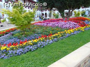 [P06] Covor de flori in interiorul Manastirii Agapia » foto by liviu49
 - 
<span class="allrVoted glyphicon glyphicon-heart hidden" id="av1302646"></span>
<a class="m-l-10 hidden" id="sv1302646" onclick="voting_Foto_DelVot(,1302646,5114)" role="button">șterge vot <span class="glyphicon glyphicon-remove"></span></a>
<a id="v91302646" class=" c-red"  onclick="voting_Foto_SetVot(1302646)" role="button"><span class="glyphicon glyphicon-heart-empty"></span> <b>LIKE</b> = Votează poza</a> <img class="hidden"  id="f1302646W9" src="/imagini/loader.gif" border="0" /><span class="AjErrMes hidden" id="e1302646ErM"></span>