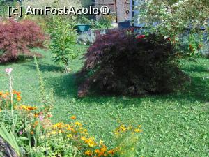 [P34] Intra in curtea muzeului si admiram verdeata si florile ingrijite . » foto by liviu49
 - 
<span class="allrVoted glyphicon glyphicon-heart hidden" id="av1302945"></span>
<a class="m-l-10 hidden" id="sv1302945" onclick="voting_Foto_DelVot(,1302945,5114)" role="button">șterge vot <span class="glyphicon glyphicon-remove"></span></a>
<a id="v91302945" class=" c-red"  onclick="voting_Foto_SetVot(1302945)" role="button"><span class="glyphicon glyphicon-heart-empty"></span> <b>LIKE</b> = Votează poza</a> <img class="hidden"  id="f1302945W9" src="/imagini/loader.gif" border="0" /><span class="AjErrMes hidden" id="e1302945ErM"></span>