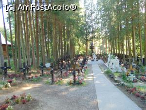 [P10] Cimitirul manastirii Sihastria . » foto by liviu49
 - 
<span class="allrVoted glyphicon glyphicon-heart hidden" id="av1303159"></span>
<a class="m-l-10 hidden" id="sv1303159" onclick="voting_Foto_DelVot(,1303159,5114)" role="button">șterge vot <span class="glyphicon glyphicon-remove"></span></a>
<a id="v91303159" class=" c-red"  onclick="voting_Foto_SetVot(1303159)" role="button"><span class="glyphicon glyphicon-heart-empty"></span> <b>LIKE</b> = Votează poza</a> <img class="hidden"  id="f1303159W9" src="/imagini/loader.gif" border="0" /><span class="AjErrMes hidden" id="e1303159ErM"></span>