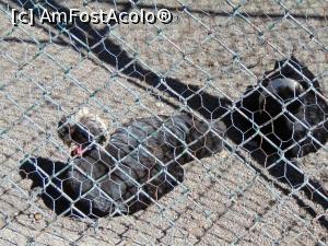 [P37] ... dupa care ajungem la " motati " » foto by liviu49
 - 
<span class="allrVoted glyphicon glyphicon-heart hidden" id="av1303186"></span>
<a class="m-l-10 hidden" id="sv1303186" onclick="voting_Foto_DelVot(,1303186,5114)" role="button">șterge vot <span class="glyphicon glyphicon-remove"></span></a>
<a id="v91303186" class=" c-red"  onclick="voting_Foto_SetVot(1303186)" role="button"><span class="glyphicon glyphicon-heart-empty"></span> <b>LIKE</b> = Votează poza</a> <img class="hidden"  id="f1303186W9" src="/imagini/loader.gif" border="0" /><span class="AjErrMes hidden" id="e1303186ErM"></span>