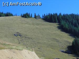 [P18] Una din pajistile din Rarau . » foto by liviu49
 - 
<span class="allrVoted glyphicon glyphicon-heart hidden" id="av1303705"></span>
<a class="m-l-10 hidden" id="sv1303705" onclick="voting_Foto_DelVot(,1303705,5114)" role="button">șterge vot <span class="glyphicon glyphicon-remove"></span></a>
<a id="v91303705" class=" c-red"  onclick="voting_Foto_SetVot(1303705)" role="button"><span class="glyphicon glyphicon-heart-empty"></span> <b>LIKE</b> = Votează poza</a> <img class="hidden"  id="f1303705W9" src="/imagini/loader.gif" border="0" /><span class="AjErrMes hidden" id="e1303705ErM"></span>