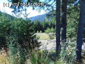 [P02] Admiram printre brazi sarpele de asfalt pe care am mers , » foto by liviu49
 - 
<span class="allrVoted glyphicon glyphicon-heart hidden" id="av1303689"></span>
<a class="m-l-10 hidden" id="sv1303689" onclick="voting_Foto_DelVot(,1303689,5114)" role="button">șterge vot <span class="glyphicon glyphicon-remove"></span></a>
<a id="v91303689" class=" c-red"  onclick="voting_Foto_SetVot(1303689)" role="button"><span class="glyphicon glyphicon-heart-empty"></span> <b>LIKE</b> = Votează poza</a> <img class="hidden"  id="f1303689W9" src="/imagini/loader.gif" border="0" /><span class="AjErrMes hidden" id="e1303689ErM"></span>