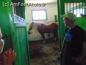 [P28] Si armasarul campion al hergheliei » foto by liviu49
 - 
<span class="allrVoted glyphicon glyphicon-heart hidden" id="av1303715"></span>
<a class="m-l-10 hidden" id="sv1303715" onclick="voting_Foto_DelVot(,1303715,5114)" role="button">șterge vot <span class="glyphicon glyphicon-remove"></span></a>
<a id="v91303715" class=" c-red"  onclick="voting_Foto_SetVot(1303715)" role="button"><span class="glyphicon glyphicon-heart-empty"></span> <b>LIKE</b> = Votează poza</a> <img class="hidden"  id="f1303715W9" src="/imagini/loader.gif" border="0" /><span class="AjErrMes hidden" id="e1303715ErM"></span>