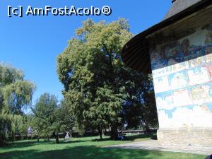 [P12] Peretele bisericii si copacul la umbra caruia ne=am racorit si noi . » foto by liviu49
 - 
<span class="allrVoted glyphicon glyphicon-heart hidden" id="av1304651"></span>
<a class="m-l-10 hidden" id="sv1304651" onclick="voting_Foto_DelVot(,1304651,5114)" role="button">șterge vot <span class="glyphicon glyphicon-remove"></span></a>
<a id="v91304651" class=" c-red"  onclick="voting_Foto_SetVot(1304651)" role="button"><span class="glyphicon glyphicon-heart-empty"></span> <b>LIKE</b> = Votează poza</a> <img class="hidden"  id="f1304651W9" src="/imagini/loader.gif" border="0" /><span class="AjErrMes hidden" id="e1304651ErM"></span>