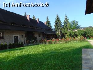 [P08] Pajistea verde crud si frumosii trandafiri de la Moldovita . » foto by liviu49
 - 
<span class="allrVoted glyphicon glyphicon-heart hidden" id="av1304833"></span>
<a class="m-l-10 hidden" id="sv1304833" onclick="voting_Foto_DelVot(,1304833,5114)" role="button">șterge vot <span class="glyphicon glyphicon-remove"></span></a>
<a id="v91304833" class=" c-red"  onclick="voting_Foto_SetVot(1304833)" role="button"><span class="glyphicon glyphicon-heart-empty"></span> <b>LIKE</b> = Votează poza</a> <img class="hidden"  id="f1304833W9" src="/imagini/loader.gif" border="0" /><span class="AjErrMes hidden" id="e1304833ErM"></span>