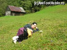 [P07]  -- <small>// FĂRĂ DESCRIERE</small> » foto by raoulp55
 - 
<span class="allrVoted glyphicon glyphicon-heart hidden" id="av145783"></span>
<a class="m-l-10 hidden" id="sv145783" onclick="voting_Foto_DelVot(,145783,5116)" role="button">șterge vot <span class="glyphicon glyphicon-remove"></span></a>
<a id="v9145783" class=" c-red"  onclick="voting_Foto_SetVot(145783)" role="button"><span class="glyphicon glyphicon-heart-empty"></span> <b>LIKE</b> = Votează poza</a> <img class="hidden"  id="f145783W9" src="/imagini/loader.gif" border="0" /><span class="AjErrMes hidden" id="e145783ErM"></span>
