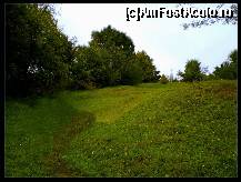 [P03] Urcand - la 15 min deistanta de moeciu - spre culmea dealului pt a intersecta drumul auto spre Magura » foto by private_rayen
 - 
<span class="allrVoted glyphicon glyphicon-heart hidden" id="av183097"></span>
<a class="m-l-10 hidden" id="sv183097" onclick="voting_Foto_DelVot(,183097,5116)" role="button">șterge vot <span class="glyphicon glyphicon-remove"></span></a>
<a id="v9183097" class=" c-red"  onclick="voting_Foto_SetVot(183097)" role="button"><span class="glyphicon glyphicon-heart-empty"></span> <b>LIKE</b> = Votează poza</a> <img class="hidden"  id="f183097W9" src="/imagini/loader.gif" border="0" /><span class="AjErrMes hidden" id="e183097ErM"></span>