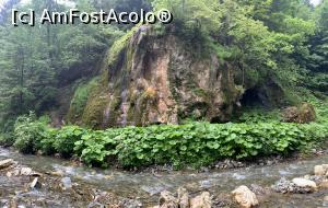 [P06] Cascada Chișătoare » foto by AZE
 - 
<span class="allrVoted glyphicon glyphicon-heart hidden" id="av1371224"></span>
<a class="m-l-10 hidden" id="sv1371224" onclick="voting_Foto_DelVot(,1371224,5116)" role="button">șterge vot <span class="glyphicon glyphicon-remove"></span></a>
<a id="v91371224" class=" c-red"  onclick="voting_Foto_SetVot(1371224)" role="button"><span class="glyphicon glyphicon-heart-empty"></span> <b>LIKE</b> = Votează poza</a> <img class="hidden"  id="f1371224W9" src="/imagini/loader.gif" border="0" /><span class="AjErrMes hidden" id="e1371224ErM"></span>