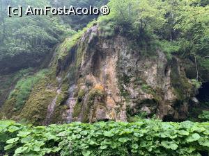 [P07] Cascada Chișătoare de lângă Moieciu de Sus » foto by AZE
 - 
<span class="allrVoted glyphicon glyphicon-heart hidden" id="av1371225"></span>
<a class="m-l-10 hidden" id="sv1371225" onclick="voting_Foto_DelVot(,1371225,5116)" role="button">șterge vot <span class="glyphicon glyphicon-remove"></span></a>
<a id="v91371225" class=" c-red"  onclick="voting_Foto_SetVot(1371225)" role="button"><span class="glyphicon glyphicon-heart-empty"></span> <b>LIKE</b> = Votează poza</a> <img class="hidden"  id="f1371225W9" src="/imagini/loader.gif" border="0" /><span class="AjErrMes hidden" id="e1371225ErM"></span>
