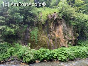 [P08] Cascada Chișătoare de lângă Moieciu de Sus » foto by AZE
 - 
<span class="allrVoted glyphicon glyphicon-heart hidden" id="av1371226"></span>
<a class="m-l-10 hidden" id="sv1371226" onclick="voting_Foto_DelVot(,1371226,5116)" role="button">șterge vot <span class="glyphicon glyphicon-remove"></span></a>
<a id="v91371226" class=" c-red"  onclick="voting_Foto_SetVot(1371226)" role="button"><span class="glyphicon glyphicon-heart-empty"></span> <b>LIKE</b> = Votează poza</a> <img class="hidden"  id="f1371226W9" src="/imagini/loader.gif" border="0" /><span class="AjErrMes hidden" id="e1371226ErM"></span>