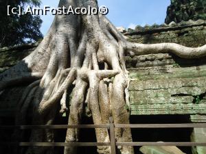 [P03] vine si povestea in curand » foto by buterfly*
 - 
<span class="allrVoted glyphicon glyphicon-heart hidden" id="av953503"></span>
<a class="m-l-10 hidden" id="sv953503" onclick="voting_Foto_DelVot(,953503,5123)" role="button">șterge vot <span class="glyphicon glyphicon-remove"></span></a>
<a id="v9953503" class=" c-red"  onclick="voting_Foto_SetVot(953503)" role="button"><span class="glyphicon glyphicon-heart-empty"></span> <b>LIKE</b> = Votează poza</a> <img class="hidden"  id="f953503W9" src="/imagini/loader.gif" border="0" /><span class="AjErrMes hidden" id="e953503ErM"></span>