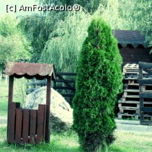 [P03]  -- <small>// FĂRĂ DESCRIERE</small> » foto by maratia
 - 
<span class="allrVoted glyphicon glyphicon-heart hidden" id="av771852"></span>
<a class="m-l-10 hidden" id="sv771852" onclick="voting_Foto_DelVot(,771852,5124)" role="button">șterge vot <span class="glyphicon glyphicon-remove"></span></a>
<a id="v9771852" class=" c-red"  onclick="voting_Foto_SetVot(771852)" role="button"><span class="glyphicon glyphicon-heart-empty"></span> <b>LIKE</b> = Votează poza</a> <img class="hidden"  id="f771852W9" src="/imagini/loader.gif" border="0" /><span class="AjErrMes hidden" id="e771852ErM"></span>
