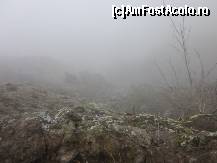 [P21] nori si ceata si nici eu nu mai stiu ce am fotografiat aici.  » foto by ariciu*
 - 
<span class="allrVoted glyphicon glyphicon-heart hidden" id="av406831"></span>
<a class="m-l-10 hidden" id="sv406831" onclick="voting_Foto_DelVot(,406831,5128)" role="button">șterge vot <span class="glyphicon glyphicon-remove"></span></a>
<a id="v9406831" class=" c-red"  onclick="voting_Foto_SetVot(406831)" role="button"><span class="glyphicon glyphicon-heart-empty"></span> <b>LIKE</b> = Votează poza</a> <img class="hidden"  id="f406831W9" src="/imagini/loader.gif" border="0" /><span class="AjErrMes hidden" id="e406831ErM"></span>