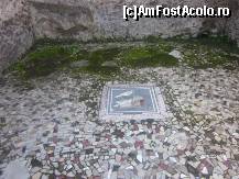 [P06]  -- <small>// FĂRĂ DESCRIERE</small> » foto by ariciu*
 - 
<span class="allrVoted glyphicon glyphicon-heart hidden" id="av406816"></span>
<a class="m-l-10 hidden" id="sv406816" onclick="voting_Foto_DelVot(,406816,5128)" role="button">șterge vot <span class="glyphicon glyphicon-remove"></span></a>
<a id="v9406816" class=" c-red"  onclick="voting_Foto_SetVot(406816)" role="button"><span class="glyphicon glyphicon-heart-empty"></span> <b>LIKE</b> = Votează poza</a> <img class="hidden"  id="f406816W9" src="/imagini/loader.gif" border="0" /><span class="AjErrMes hidden" id="e406816ErM"></span>