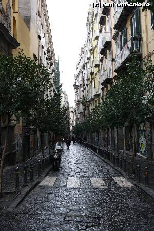 [P10] Un Napoli mai linistit si mai curat-cartier Vomero » foto by DOINITA
 - 
<span class="allrVoted glyphicon glyphicon-heart hidden" id="av609070"></span>
<a class="m-l-10 hidden" id="sv609070" onclick="voting_Foto_DelVot(,609070,5128)" role="button">șterge vot <span class="glyphicon glyphicon-remove"></span></a>
<a id="v9609070" class=" c-red"  onclick="voting_Foto_SetVot(609070)" role="button"><span class="glyphicon glyphicon-heart-empty"></span> <b>LIKE</b> = Votează poza</a> <img class="hidden"  id="f609070W9" src="/imagini/loader.gif" border="0" /><span class="AjErrMes hidden" id="e609070ErM"></span>