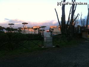 [P32] Napoli...  » foto by Cristina.petcu
 - 
<span class="allrVoted glyphicon glyphicon-heart hidden" id="av402896"></span>
<a class="m-l-10 hidden" id="sv402896" onclick="voting_Foto_DelVot(,402896,5128)" role="button">șterge vot <span class="glyphicon glyphicon-remove"></span></a>
<a id="v9402896" class=" c-red"  onclick="voting_Foto_SetVot(402896)" role="button"><span class="glyphicon glyphicon-heart-empty"></span> <b>LIKE</b> = Votează poza</a> <img class="hidden"  id="f402896W9" src="/imagini/loader.gif" border="0" /><span class="AjErrMes hidden" id="e402896ErM"></span>