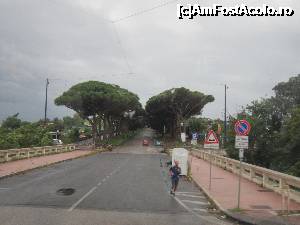 [P23] Pini pe Via Posillipo » foto by bica adriana
 - 
<span class="allrVoted glyphicon glyphicon-heart hidden" id="av699339"></span>
<a class="m-l-10 hidden" id="sv699339" onclick="voting_Foto_DelVot(,699339,5128)" role="button">șterge vot <span class="glyphicon glyphicon-remove"></span></a>
<a id="v9699339" class=" c-red"  onclick="voting_Foto_SetVot(699339)" role="button"><span class="glyphicon glyphicon-heart-empty"></span> <b>LIKE</b> = Votează poza</a> <img class="hidden"  id="f699339W9" src="/imagini/loader.gif" border="0" /><span class="AjErrMes hidden" id="e699339ErM"></span>