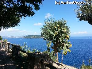 [P34] gradinile castelului Aragonese » foto by paundan
 - 
<span class="allrVoted glyphicon glyphicon-heart hidden" id="av658532"></span>
<a class="m-l-10 hidden" id="sv658532" onclick="voting_Foto_DelVot(,658532,5128)" role="button">șterge vot <span class="glyphicon glyphicon-remove"></span></a>
<a id="v9658532" class=" c-red"  onclick="voting_Foto_SetVot(658532)" role="button"><span class="glyphicon glyphicon-heart-empty"></span> <b>LIKE</b> = Votează poza</a> <img class="hidden"  id="f658532W9" src="/imagini/loader.gif" border="0" /><span class="AjErrMes hidden" id="e658532ErM"></span>