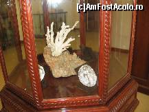 [P42] Expoziţie de corali albi şi camee » foto by Michi
 - 
<span class="allrVoted glyphicon glyphicon-heart hidden" id="av483742"></span>
<a class="m-l-10 hidden" id="sv483742" onclick="voting_Foto_DelVot(,483742,5128)" role="button">șterge vot <span class="glyphicon glyphicon-remove"></span></a>
<a id="v9483742" class=" c-red"  onclick="voting_Foto_SetVot(483742)" role="button"><span class="glyphicon glyphicon-heart-empty"></span> <b>LIKE</b> = Votează poza</a> <img class="hidden"  id="f483742W9" src="/imagini/loader.gif" border="0" /><span class="AjErrMes hidden" id="e483742ErM"></span>
