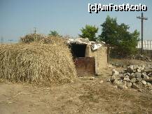 [P16] Unde se adaposteau inainte si acum este grajd pentru calul ce-i ajuta in deplasari,primit de la un om cu suflet bun » foto by lavylus*
 - 
<span class="allrVoted glyphicon glyphicon-heart hidden" id="av171717"></span>
<a class="m-l-10 hidden" id="sv171717" onclick="voting_Foto_DelVot(,171717,5136)" role="button">șterge vot <span class="glyphicon glyphicon-remove"></span></a>
<a id="v9171717" class=" c-red"  onclick="voting_Foto_SetVot(171717)" role="button"><span class="glyphicon glyphicon-heart-empty"></span> <b>LIKE</b> = Votează poza</a> <img class="hidden"  id="f171717W9" src="/imagini/loader.gif" border="0" /><span class="AjErrMes hidden" id="e171717ErM"></span>