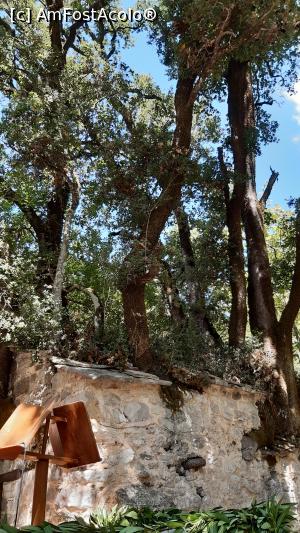[P14] Biserica Agia Theodora » foto by Carmen Ion
 - 
<span class="allrVoted glyphicon glyphicon-heart hidden" id="av1269444"></span>
<a class="m-l-10 hidden" id="sv1269444" onclick="voting_Foto_DelVot(,1269444,5137)" role="button">șterge vot <span class="glyphicon glyphicon-remove"></span></a>
<a id="v91269444" class=" c-red"  onclick="voting_Foto_SetVot(1269444)" role="button"><span class="glyphicon glyphicon-heart-empty"></span> <b>LIKE</b> = Votează poza</a> <img class="hidden"  id="f1269444W9" src="/imagini/loader.gif" border="0" /><span class="AjErrMes hidden" id="e1269444ErM"></span>
