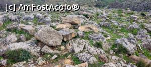 [P25] Cetatea Micene. Imagini de pe versantul nordic. Aici erau grupate cladirile din Cartierul de Nord. » foto by ovidiuyepi
 - 
<span class="allrVoted glyphicon glyphicon-heart hidden" id="av1297923"></span>
<a class="m-l-10 hidden" id="sv1297923" onclick="voting_Foto_DelVot(,1297923,5137)" role="button">șterge vot <span class="glyphicon glyphicon-remove"></span></a>
<a id="v91297923" class=" c-red"  onclick="voting_Foto_SetVot(1297923)" role="button"><span class="glyphicon glyphicon-heart-empty"></span> <b>LIKE</b> = Votează poza</a> <img class="hidden"  id="f1297923W9" src="/imagini/loader.gif" border="0" /><span class="AjErrMes hidden" id="e1297923ErM"></span>