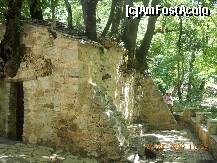 [P07] O imagine inexplicabila! Cum naiba stau cei 17 copaci pe acopris? Uitati-va la cele 3-4-5 trunchiuri groase care, la cea mai mica pala de vant ar trebui sa spulbere acoperisul. » foto by florinbad
 - 
<span class="allrVoted glyphicon glyphicon-heart hidden" id="av189583"></span>
<a class="m-l-10 hidden" id="sv189583" onclick="voting_Foto_DelVot(,189583,5137)" role="button">șterge vot <span class="glyphicon glyphicon-remove"></span></a>
<a id="v9189583" class=" c-red"  onclick="voting_Foto_SetVot(189583)" role="button"><span class="glyphicon glyphicon-heart-empty"></span> <b>LIKE</b> = Votează poza</a> <img class="hidden"  id="f189583W9" src="/imagini/loader.gif" border="0" /><span class="AjErrMes hidden" id="e189583ErM"></span>