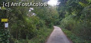[P04] Spre Bisericile Rupestre din Ivanovo. » foto by Aurici
 - 
<span class="allrVoted glyphicon glyphicon-heart hidden" id="av1287125"></span>
<a class="m-l-10 hidden" id="sv1287125" onclick="voting_Foto_DelVot(,1287125,5157)" role="button">șterge vot <span class="glyphicon glyphicon-remove"></span></a>
<a id="v91287125" class=" c-red"  onclick="voting_Foto_SetVot(1287125)" role="button"><span class="glyphicon glyphicon-heart-empty"></span> <b>LIKE</b> = Votează poza</a> <img class="hidden"  id="f1287125W9" src="/imagini/loader.gif" border="0" /><span class="AjErrMes hidden" id="e1287125ErM"></span>