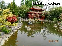 [P01] Gradina botanica Nyiregyhaza - gradina japoneza » foto by cristi oradea
 - 
<span class="allrVoted glyphicon glyphicon-heart hidden" id="av416837"></span>
<a class="m-l-10 hidden" id="sv416837" onclick="voting_Foto_DelVot(,416837,5160)" role="button">șterge vot <span class="glyphicon glyphicon-remove"></span></a>
<a id="v9416837" class=" c-red"  onclick="voting_Foto_SetVot(416837)" role="button"><span class="glyphicon glyphicon-heart-empty"></span> <b>LIKE</b> = Votează poza</a> <img class="hidden"  id="f416837W9" src="/imagini/loader.gif" border="0" /><span class="AjErrMes hidden" id="e416837ErM"></span>