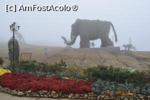 [P10] În drum către telecabină . Elefant în mărime naturală , plante pe un schelet metalic » foto by Pușcașu Marin
 - 
<span class="allrVoted glyphicon glyphicon-heart hidden" id="av1423897"></span>
<a class="m-l-10 hidden" id="sv1423897" onclick="voting_Foto_DelVot(,1423897,5166)" role="button">șterge vot <span class="glyphicon glyphicon-remove"></span></a>
<a id="v91423897" class=" c-red"  onclick="voting_Foto_SetVot(1423897)" role="button"><span class="glyphicon glyphicon-heart-empty"></span> <b>LIKE</b> = Votează poza</a> <img class="hidden"  id="f1423897W9" src="/imagini/loader.gif" border="0" /><span class="AjErrMes hidden" id="e1423897ErM"></span>