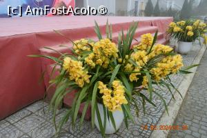 [P08] Orhidee la 1,800 de metri altitudine » foto by Pușcașu Marin
 - 
<span class="allrVoted glyphicon glyphicon-heart hidden" id="av1423895"></span>
<a class="m-l-10 hidden" id="sv1423895" onclick="voting_Foto_DelVot(,1423895,5166)" role="button">șterge vot <span class="glyphicon glyphicon-remove"></span></a>
<a id="v91423895" class=" c-red"  onclick="voting_Foto_SetVot(1423895)" role="button"><span class="glyphicon glyphicon-heart-empty"></span> <b>LIKE</b> = Votează poza</a> <img class="hidden"  id="f1423895W9" src="/imagini/loader.gif" border="0" /><span class="AjErrMes hidden" id="e1423895ErM"></span>