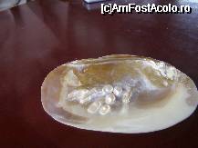 [P07] perle adevarate din scoica » foto by florinene* †
 - 
<span class="allrVoted glyphicon glyphicon-heart hidden" id="av56671"></span>
<a class="m-l-10 hidden" id="sv56671" onclick="voting_Foto_DelVot(,56671,5166)" role="button">șterge vot <span class="glyphicon glyphicon-remove"></span></a>
<a id="v956671" class=" c-red"  onclick="voting_Foto_SetVot(56671)" role="button"><span class="glyphicon glyphicon-heart-empty"></span> <b>LIKE</b> = Votează poza</a> <img class="hidden"  id="f56671W9" src="/imagini/loader.gif" border="0" /><span class="AjErrMes hidden" id="e56671ErM"></span>