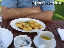 [P23]  -- <small>// FĂRĂ DESCRIERE</small> » foto by florinene* †
 - 
<span class="allrVoted glyphicon glyphicon-heart hidden" id="av58670"></span>
<a class="m-l-10 hidden" id="sv58670" onclick="voting_Foto_DelVot(,58670,5166)" role="button">șterge vot <span class="glyphicon glyphicon-remove"></span></a>
<a id="v958670" class=" c-red"  onclick="voting_Foto_SetVot(58670)" role="button"><span class="glyphicon glyphicon-heart-empty"></span> <b>LIKE</b> = Votează poza</a> <img class="hidden"  id="f58670W9" src="/imagini/loader.gif" border="0" /><span class="AjErrMes hidden" id="e58670ErM"></span>