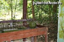 [P06] Diferite tipuri de capcane utilizate de Viet Cong » foto by mariarosa
 - 
<span class="allrVoted glyphicon glyphicon-heart hidden" id="av93976"></span>
<a class="m-l-10 hidden" id="sv93976" onclick="voting_Foto_DelVot(,93976,5166)" role="button">șterge vot <span class="glyphicon glyphicon-remove"></span></a>
<a id="v993976" class=" c-red"  onclick="voting_Foto_SetVot(93976)" role="button"><span class="glyphicon glyphicon-heart-empty"></span> <b>LIKE</b> = Votează poza</a> <img class="hidden"  id="f93976W9" src="/imagini/loader.gif" border="0" /><span class="AjErrMes hidden" id="e93976ErM"></span>