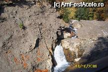 [P21] Cascada Putna » foto by Alina53
 - 
<span class="allrVoted glyphicon glyphicon-heart hidden" id="av65293"></span>
<a class="m-l-10 hidden" id="sv65293" onclick="voting_Foto_DelVot(,65293,5170)" role="button">șterge vot <span class="glyphicon glyphicon-remove"></span></a>
<a id="v965293" class=" c-red"  onclick="voting_Foto_SetVot(65293)" role="button"><span class="glyphicon glyphicon-heart-empty"></span> <b>LIKE</b> = Votează poza</a> <img class="hidden"  id="f65293W9" src="/imagini/loader.gif" border="0" /><span class="AjErrMes hidden" id="e65293ErM"></span>