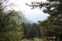 [P28] Frumusetea plaiurilor vrancene » foto by Alina53
 - 
<span class="allrVoted glyphicon glyphicon-heart hidden" id="av65300"></span>
<a class="m-l-10 hidden" id="sv65300" onclick="voting_Foto_DelVot(,65300,5170)" role="button">șterge vot <span class="glyphicon glyphicon-remove"></span></a>
<a id="v965300" class=" c-red"  onclick="voting_Foto_SetVot(65300)" role="button"><span class="glyphicon glyphicon-heart-empty"></span> <b>LIKE</b> = Votează poza</a> <img class="hidden"  id="f65300W9" src="/imagini/loader.gif" border="0" /><span class="AjErrMes hidden" id="e65300ErM"></span>