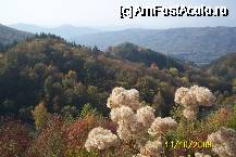[P30] Vai si munti » foto by Alina53
 - 
<span class="allrVoted glyphicon glyphicon-heart hidden" id="av65302"></span>
<a class="m-l-10 hidden" id="sv65302" onclick="voting_Foto_DelVot(,65302,5170)" role="button">șterge vot <span class="glyphicon glyphicon-remove"></span></a>
<a id="v965302" class=" c-red"  onclick="voting_Foto_SetVot(65302)" role="button"><span class="glyphicon glyphicon-heart-empty"></span> <b>LIKE</b> = Votează poza</a> <img class="hidden"  id="f65302W9" src="/imagini/loader.gif" border="0" /><span class="AjErrMes hidden" id="e65302ErM"></span>