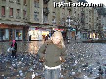 [P11] Incantata de numerosii porumbei din Piata Operei » foto by lucianaalex
 - 
<span class="allrVoted glyphicon glyphicon-heart hidden" id="av56915"></span>
<a class="m-l-10 hidden" id="sv56915" onclick="voting_Foto_DelVot(,56915,5174)" role="button">șterge vot <span class="glyphicon glyphicon-remove"></span></a>
<a id="v956915" class=" c-red"  onclick="voting_Foto_SetVot(56915)" role="button"><span class="glyphicon glyphicon-heart-empty"></span> <b>LIKE</b> = Votează poza</a> <img class="hidden"  id="f56915W9" src="/imagini/loader.gif" border="0" /><span class="AjErrMes hidden" id="e56915ErM"></span>