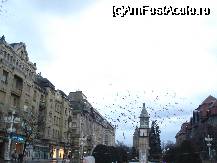 [P14] Zborul porumbeilor din Piata Operei Timisoara » foto by lucianaalex
 - 
<span class="allrVoted glyphicon glyphicon-heart hidden" id="av56921"></span>
<a class="m-l-10 hidden" id="sv56921" onclick="voting_Foto_DelVot(,56921,5174)" role="button">șterge vot <span class="glyphicon glyphicon-remove"></span></a>
<a id="v956921" class=" c-red"  onclick="voting_Foto_SetVot(56921)" role="button"><span class="glyphicon glyphicon-heart-empty"></span> <b>LIKE</b> = Votează poza</a> <img class="hidden"  id="f56921W9" src="/imagini/loader.gif" border="0" /><span class="AjErrMes hidden" id="e56921ErM"></span>