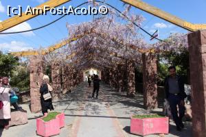 [P39] Teheran, Spre Podul Tabiat, se vede puțin și Farul, suntem în Parcul Abo-Atash...  » foto by mprofeanu
 - 
<span class="allrVoted glyphicon glyphicon-heart hidden" id="av1025290"></span>
<a class="m-l-10 hidden" id="sv1025290" onclick="voting_Foto_DelVot(,1025290,5198)" role="button">șterge vot <span class="glyphicon glyphicon-remove"></span></a>
<a id="v91025290" class=" c-red"  onclick="voting_Foto_SetVot(1025290)" role="button"><span class="glyphicon glyphicon-heart-empty"></span> <b>LIKE</b> = Votează poza</a> <img class="hidden"  id="f1025290W9" src="/imagini/loader.gif" border="0" /><span class="AjErrMes hidden" id="e1025290ErM"></span>