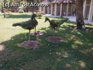 [P17] la pas prin Tehran » foto by danyo
 - 
<span class="allrVoted glyphicon glyphicon-heart hidden" id="av880231"></span>
<a class="m-l-10 hidden" id="sv880231" onclick="voting_Foto_DelVot(,880231,5198)" role="button">șterge vot <span class="glyphicon glyphicon-remove"></span></a>
<a id="v9880231" class=" c-red"  onclick="voting_Foto_SetVot(880231)" role="button"><span class="glyphicon glyphicon-heart-empty"></span> <b>LIKE</b> = Votează poza</a> <img class="hidden"  id="f880231W9" src="/imagini/loader.gif" border="0" /><span class="AjErrMes hidden" id="e880231ErM"></span>
