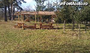 [P21] Loc de odihnă printre braziîn parcul de la Mănăstirea Brebu jud. Prahova » foto by traian.leuca †
 - 
<span class="allrVoted glyphicon glyphicon-heart hidden" id="av484303"></span>
<a class="m-l-10 hidden" id="sv484303" onclick="voting_Foto_DelVot(,484303,5205)" role="button">șterge vot <span class="glyphicon glyphicon-remove"></span></a>
<a id="v9484303" class=" c-red"  onclick="voting_Foto_SetVot(484303)" role="button"><span class="glyphicon glyphicon-heart-empty"></span> <b>LIKE</b> = Votează poza</a> <img class="hidden"  id="f484303W9" src="/imagini/loader.gif" border="0" /><span class="AjErrMes hidden" id="e484303ErM"></span>