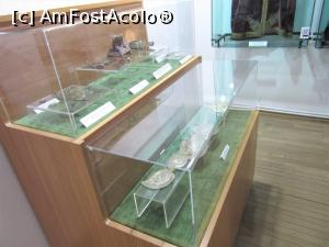 [P36] Vitrine cu ceramică » foto by Michi
 - 
<span class="allrVoted glyphicon glyphicon-heart hidden" id="av1298618"></span>
<a class="m-l-10 hidden" id="sv1298618" onclick="voting_Foto_DelVot(,1298618,5205)" role="button">șterge vot <span class="glyphicon glyphicon-remove"></span></a>
<a id="v91298618" class=" c-red"  onclick="voting_Foto_SetVot(1298618)" role="button"><span class="glyphicon glyphicon-heart-empty"></span> <b>LIKE</b> = Votează poza</a> <img class="hidden"  id="f1298618W9" src="/imagini/loader.gif" border="0" /><span class="AjErrMes hidden" id="e1298618ErM"></span>