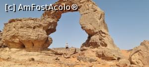 [P15] deșertul Tassili » foto by robert
 - 
<span class="allrVoted glyphicon glyphicon-heart hidden" id="av1370678"></span>
<a class="m-l-10 hidden" id="sv1370678" onclick="voting_Foto_DelVot(,1370678,5207)" role="button">șterge vot <span class="glyphicon glyphicon-remove"></span></a>
<a id="v91370678" class=" c-red"  onclick="voting_Foto_SetVot(1370678)" role="button"><span class="glyphicon glyphicon-heart-empty"></span> <b>LIKE</b> = Votează poza</a> <img class="hidden"  id="f1370678W9" src="/imagini/loader.gif" border="0" /><span class="AjErrMes hidden" id="e1370678ErM"></span>