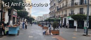 [P06] la pas prin Algiers » foto by robert
 - 
<span class="allrVoted glyphicon glyphicon-heart hidden" id="av1370669"></span>
<a class="m-l-10 hidden" id="sv1370669" onclick="voting_Foto_DelVot(,1370669,5207)" role="button">șterge vot <span class="glyphicon glyphicon-remove"></span></a>
<a id="v91370669" class=" c-red"  onclick="voting_Foto_SetVot(1370669)" role="button"><span class="glyphicon glyphicon-heart-empty"></span> <b>LIKE</b> = Votează poza</a> <img class="hidden"  id="f1370669W9" src="/imagini/loader.gif" border="0" /><span class="AjErrMes hidden" id="e1370669ErM"></span>