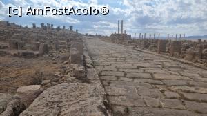 [P21] Situl roman Timgad » foto by robert
 - 
<span class="allrVoted glyphicon glyphicon-heart hidden" id="av1384586"></span>
<a class="m-l-10 hidden" id="sv1384586" onclick="voting_Foto_DelVot(,1384586,5207)" role="button">șterge vot <span class="glyphicon glyphicon-remove"></span></a>
<a id="v91384586" class=" c-red"  onclick="voting_Foto_SetVot(1384586)" role="button"><span class="glyphicon glyphicon-heart-empty"></span> <b>LIKE</b> = Votează poza</a> <img class="hidden"  id="f1384586W9" src="/imagini/loader.gif" border="0" /><span class="AjErrMes hidden" id="e1384586ErM"></span>