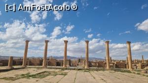 [P23] Situl roman Timgad » foto by robert
 - 
<span class="allrVoted glyphicon glyphicon-heart hidden" id="av1384588"></span>
<a class="m-l-10 hidden" id="sv1384588" onclick="voting_Foto_DelVot(,1384588,5207)" role="button">șterge vot <span class="glyphicon glyphicon-remove"></span></a>
<a id="v91384588" class=" c-red"  onclick="voting_Foto_SetVot(1384588)" role="button"><span class="glyphicon glyphicon-heart-empty"></span> <b>LIKE</b> = Votează poza</a> <img class="hidden"  id="f1384588W9" src="/imagini/loader.gif" border="0" /><span class="AjErrMes hidden" id="e1384588ErM"></span>